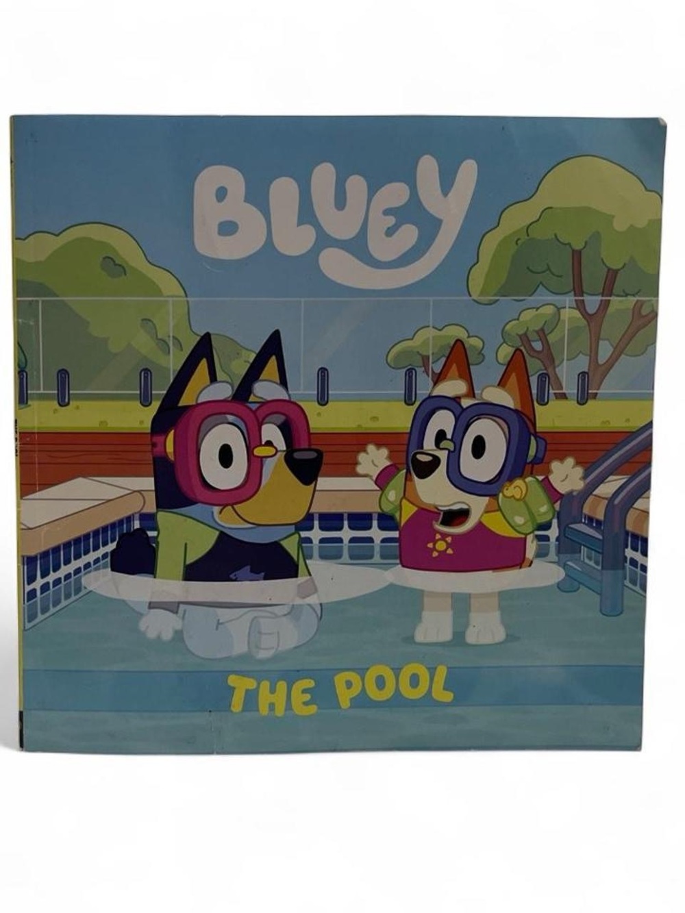 Children’s Paperback Book Bluey The Pool Colorful Illustrations
